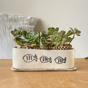 Any Clay Pottery Studio