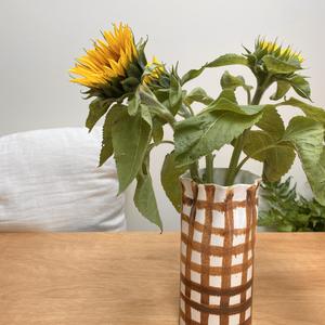 Any Clay Pottery Studio