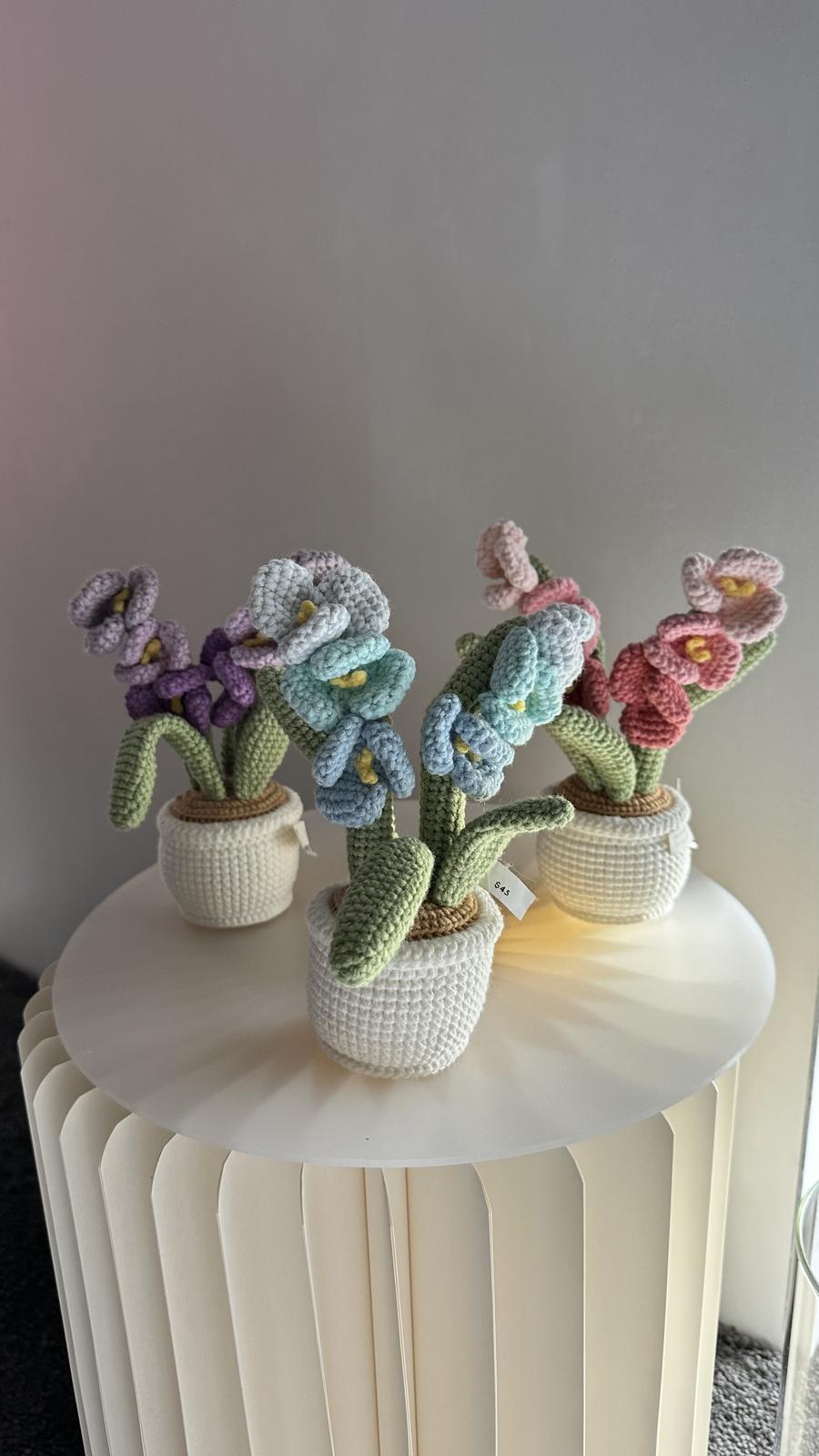 POT PLANTS