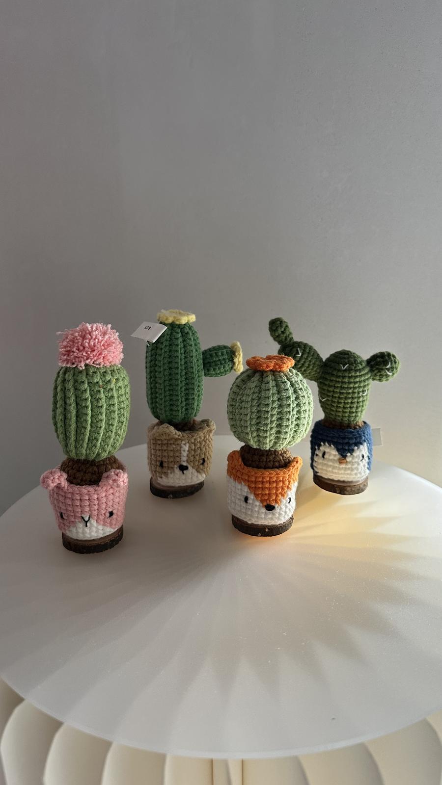 POT PLANT