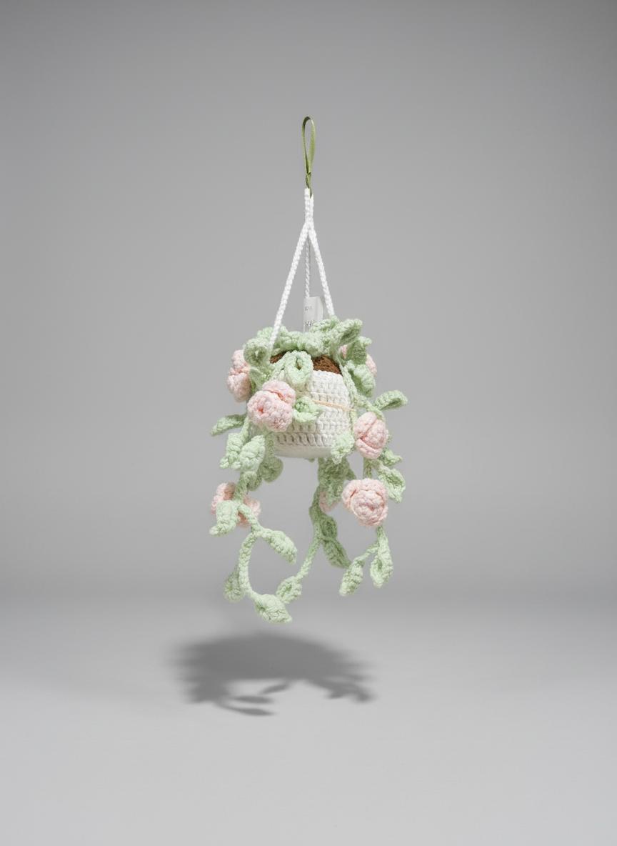 HANGING PLANTS