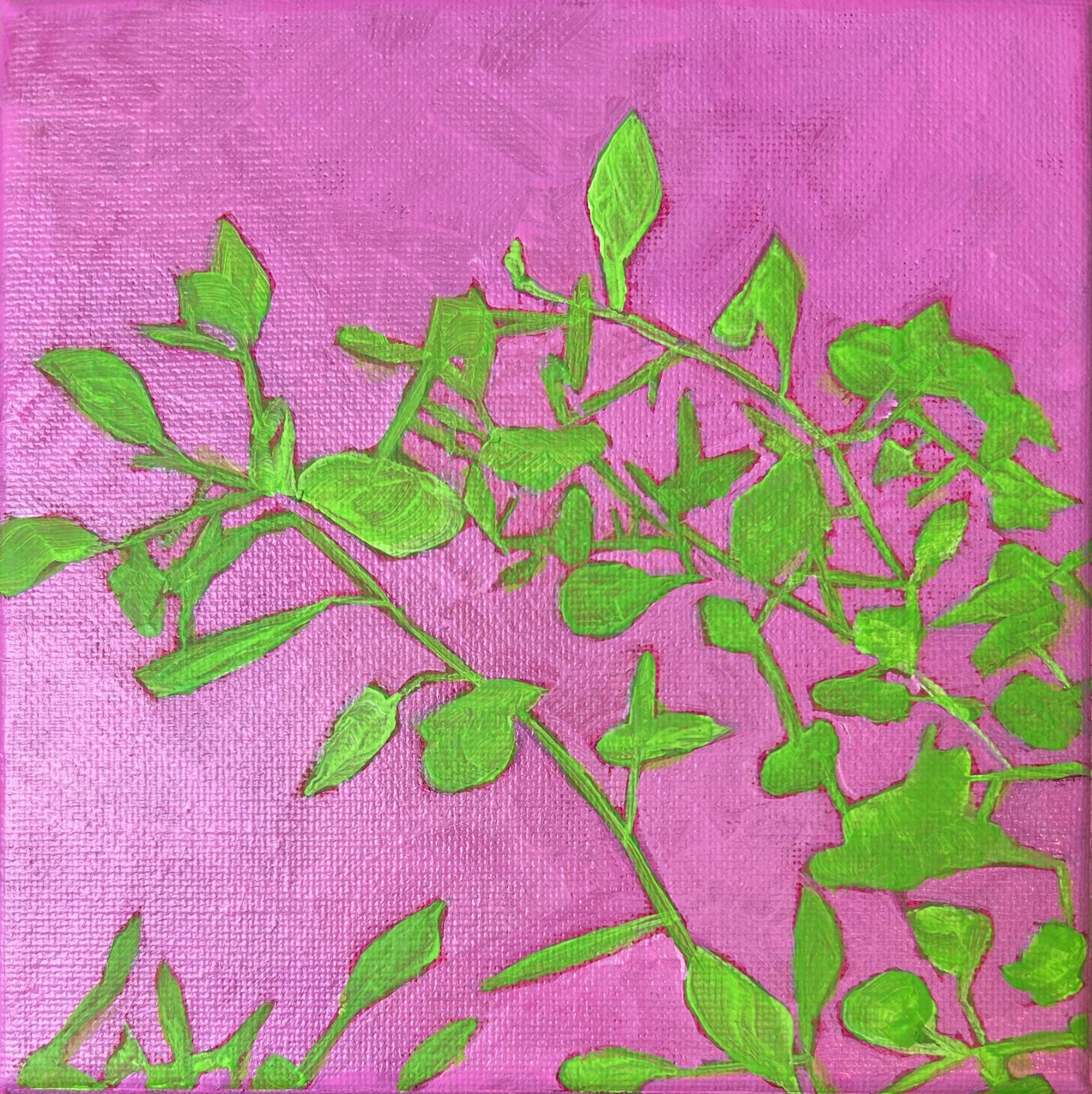 Botanical Candy_1_CathySchultz