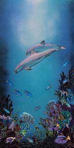Coral Coast Art