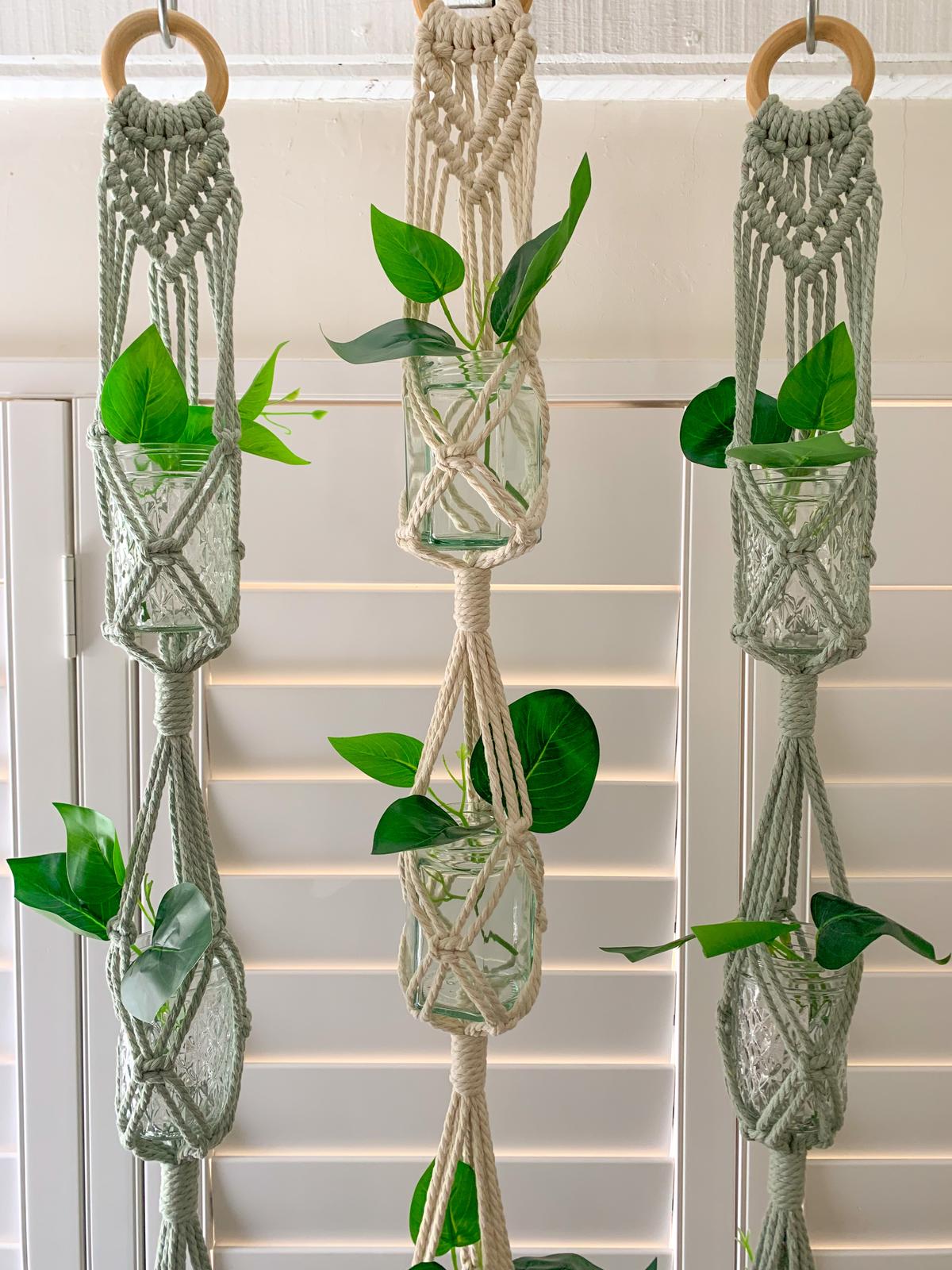 Macramé Propagation Hanger