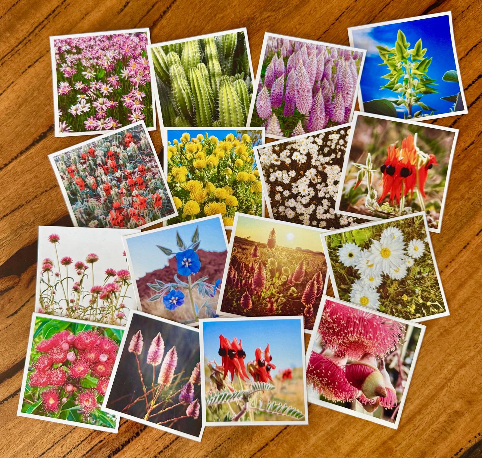 20 Wildflower Stickers