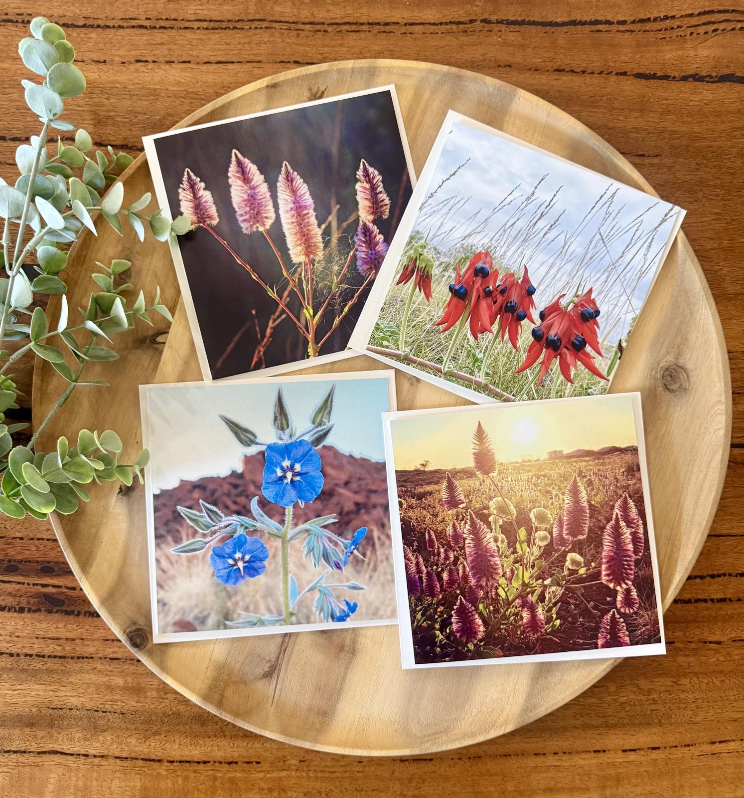 13 Wildflower Cards