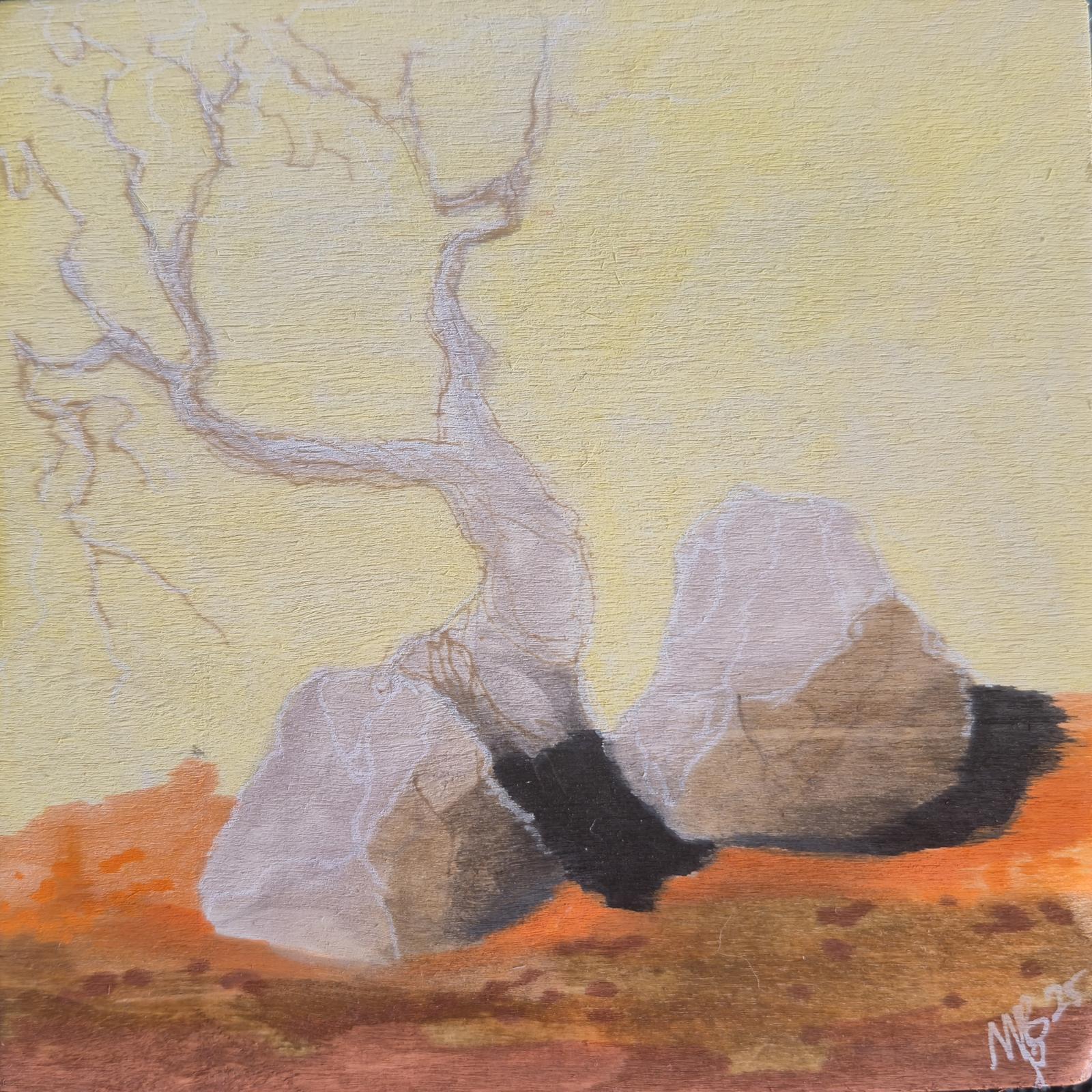 2 rocks and a tree