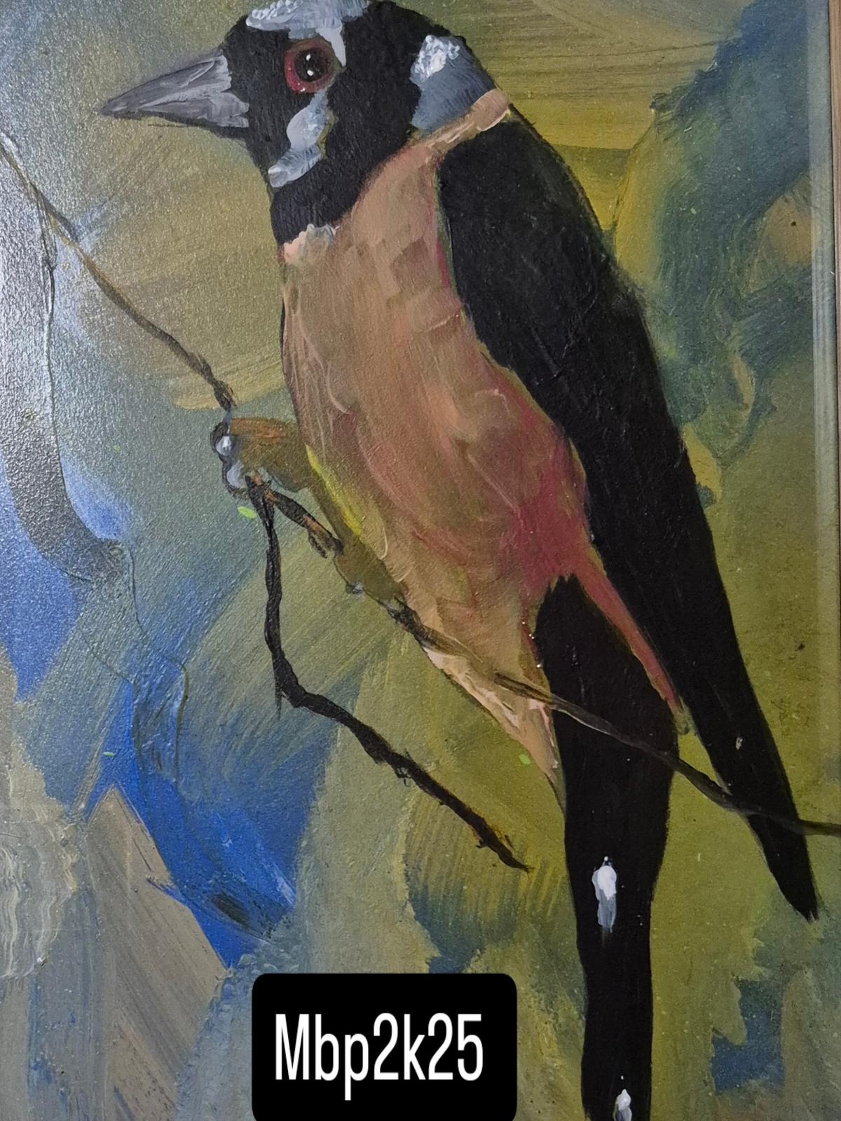 Myna Bird