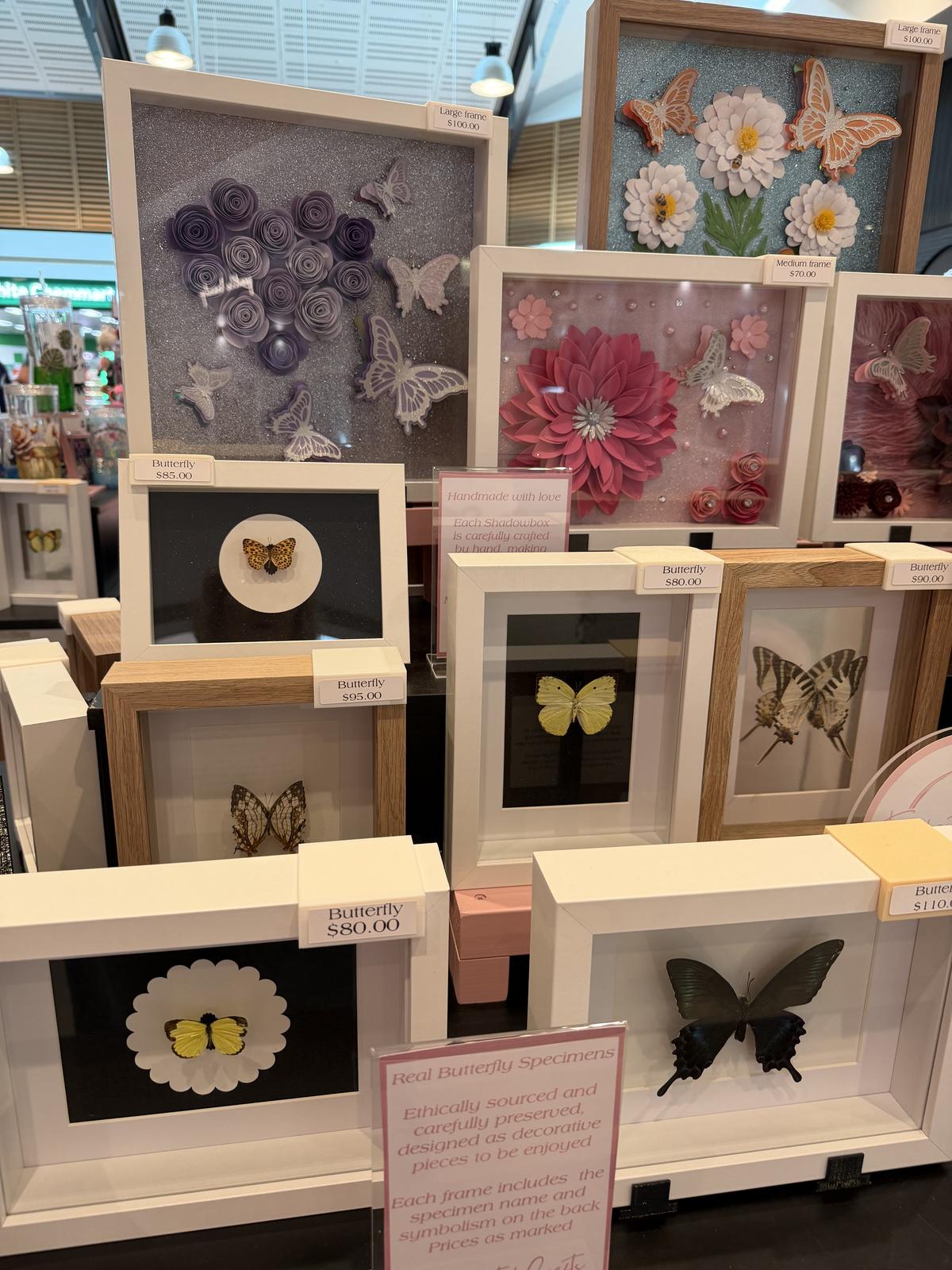Shadowboxes- Beautiful rolled flowers and real butterfly specimens 