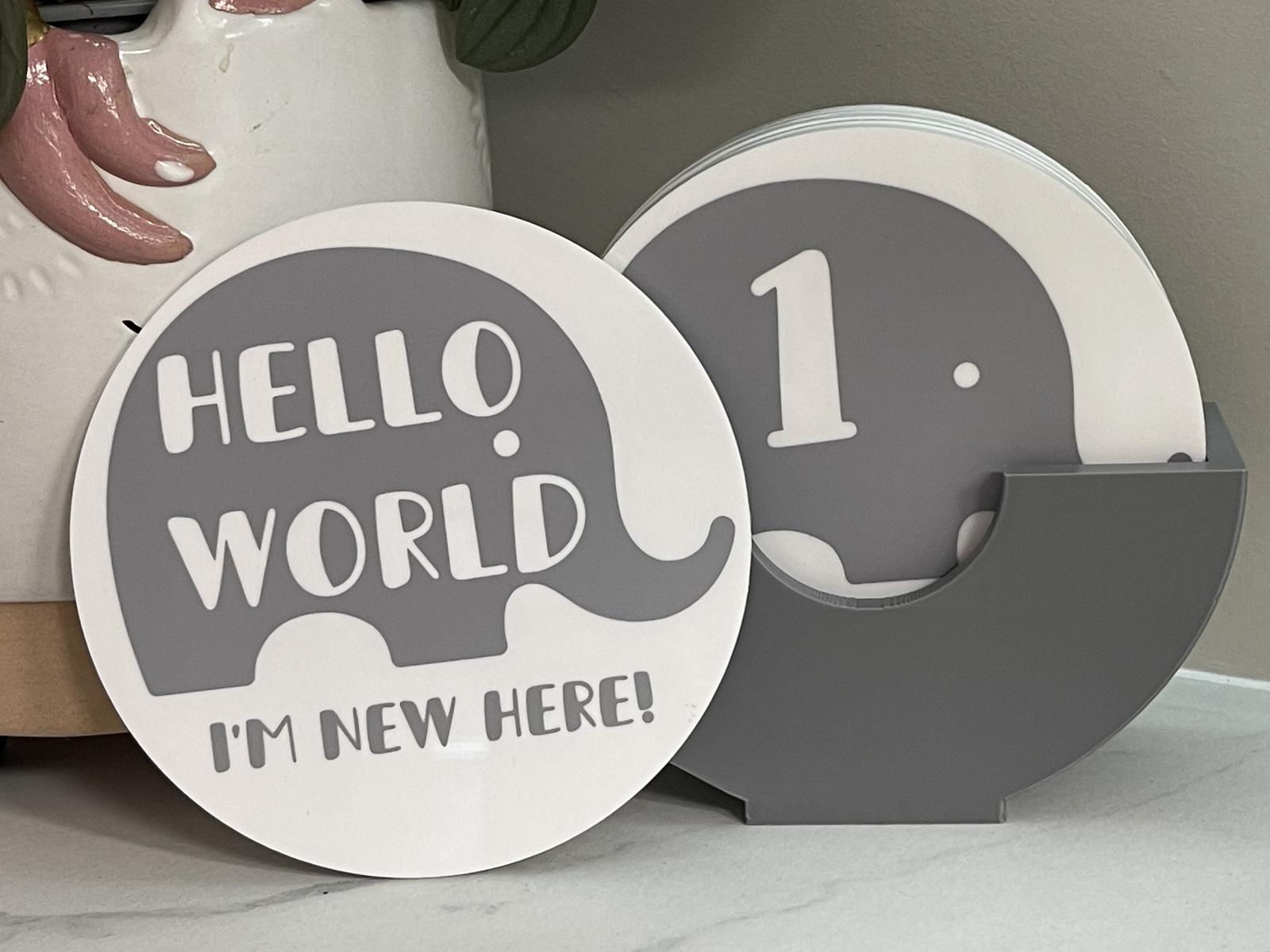 Baby milestone disks