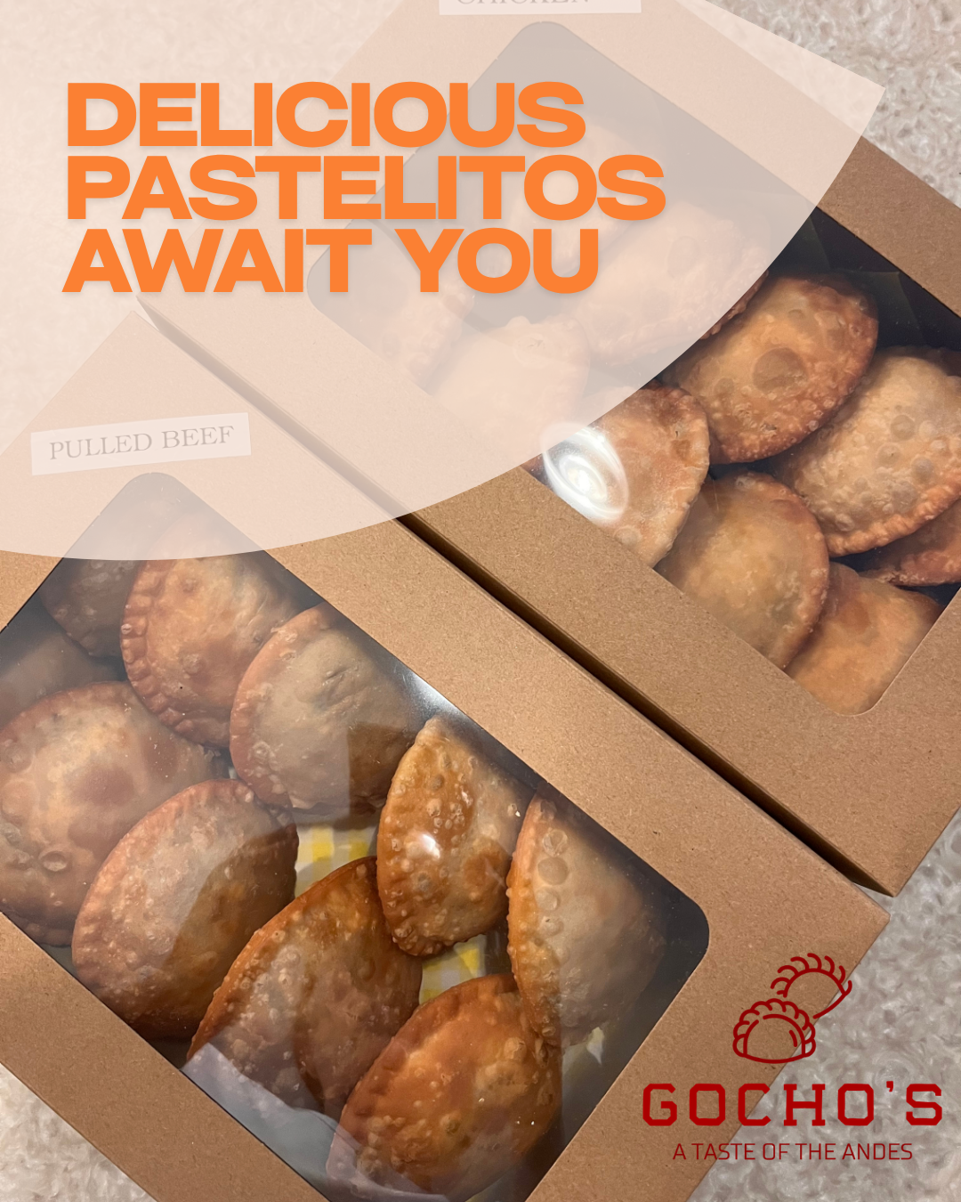 Packed Pastelitos