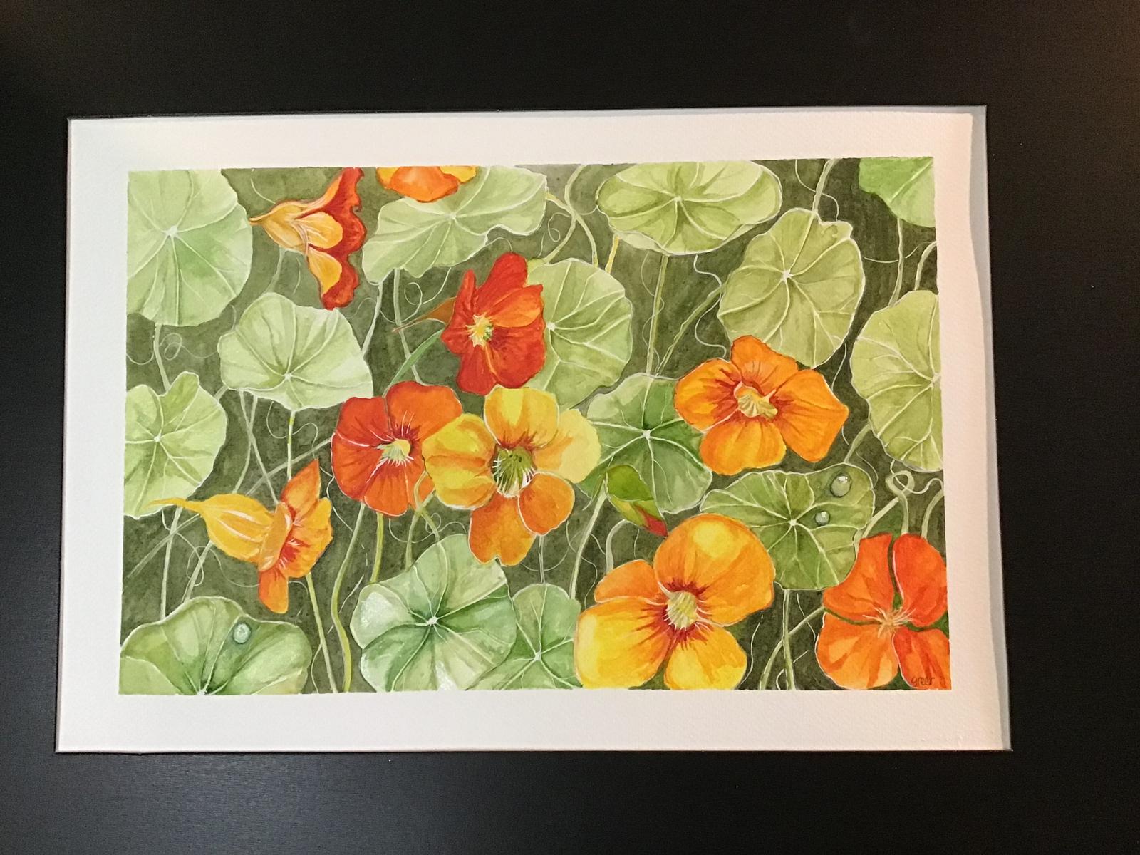 Nasturtiums 