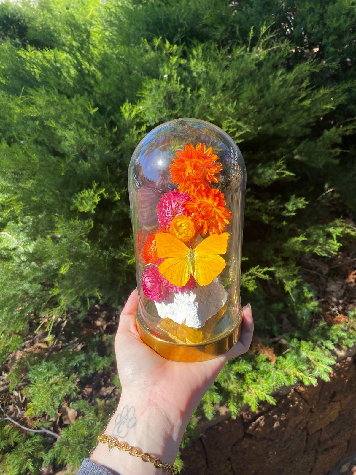 Rough howlite, everlasting daisies, and an Apricot Sulphur Butterfly. 