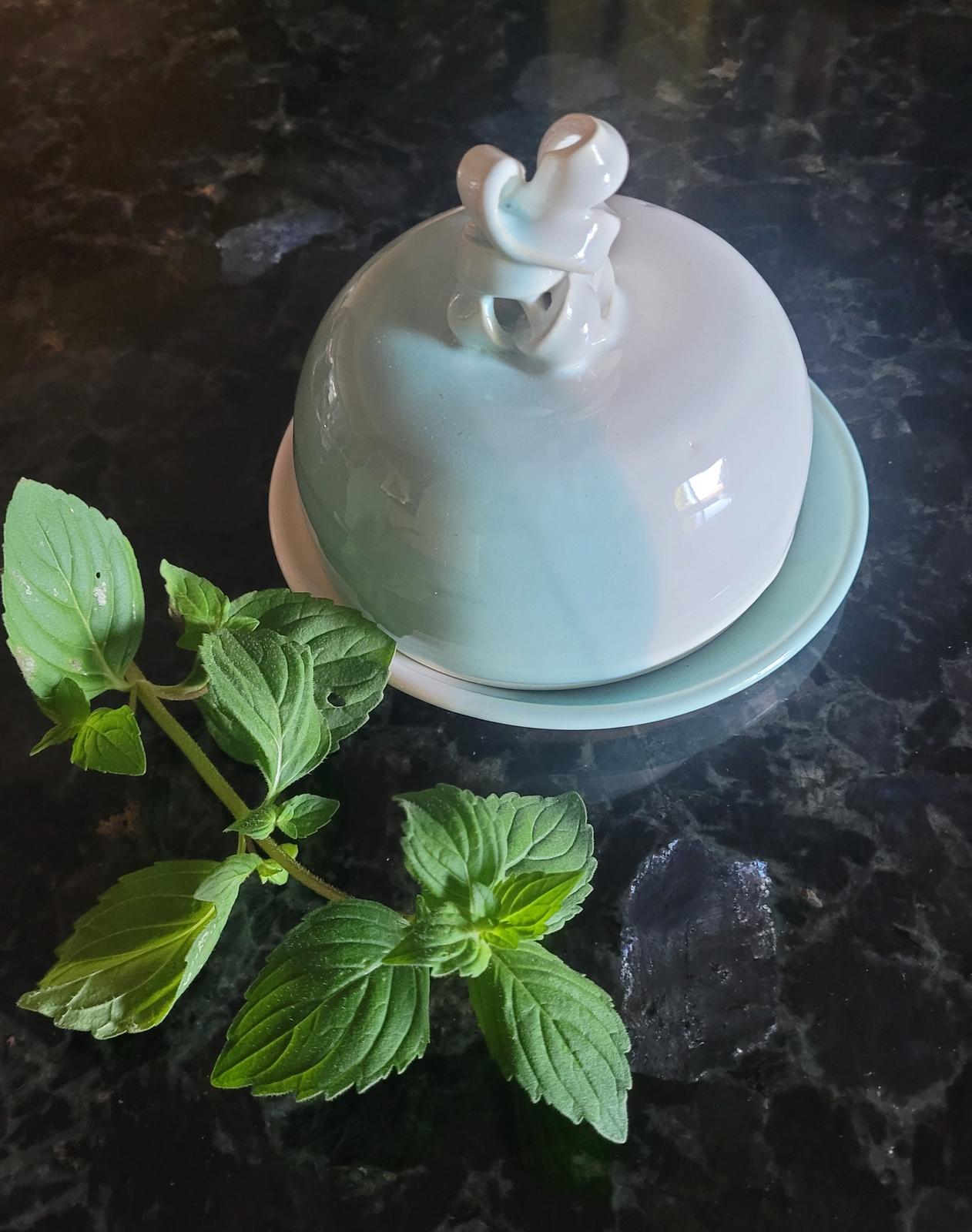 Butter Cloche