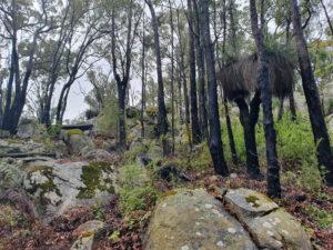 Jarrahdale Forest Protectors