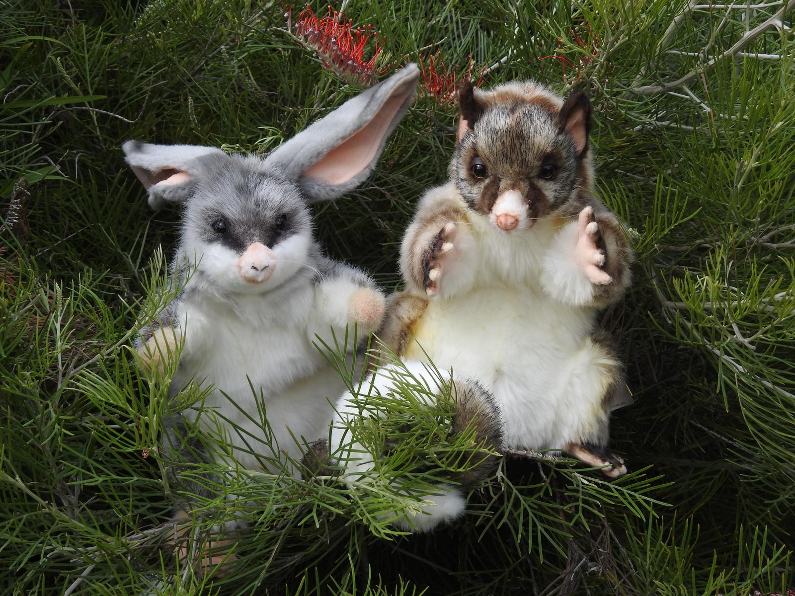 Bilby and Possum hand puppet