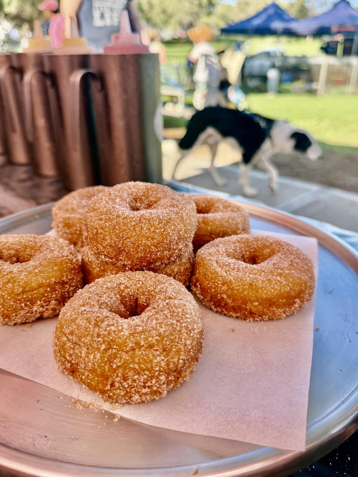 All lined up and ready to be loved 🍩💖