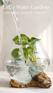 Little Water Gardens