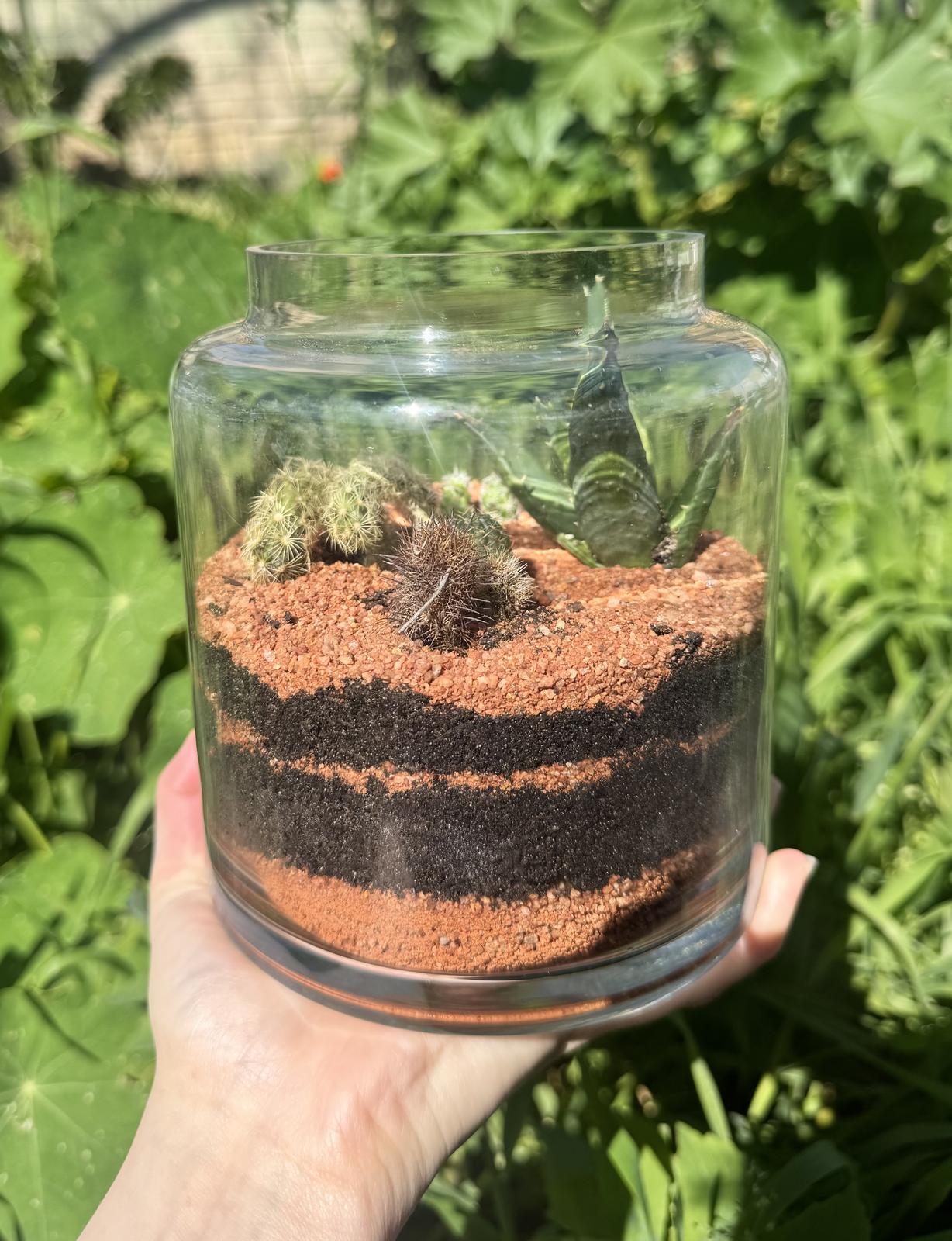 Zero calorie desert 🌵