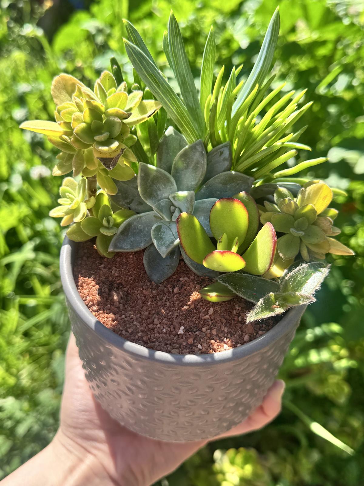 Chasing the sunshine ☀️