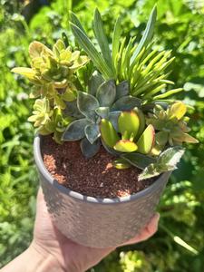 Lost and Found Gift Shop