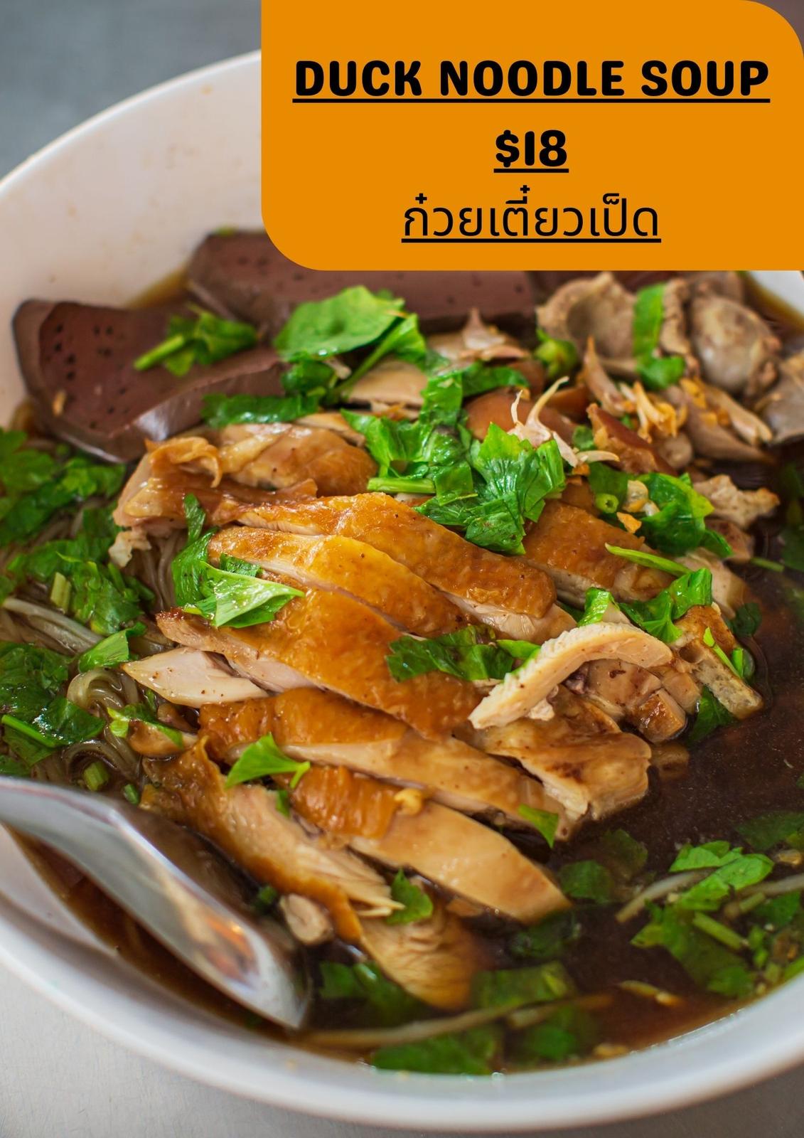 Duck noodle soup