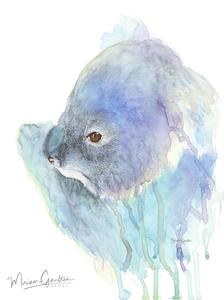 Miriam Gaulton Artist
