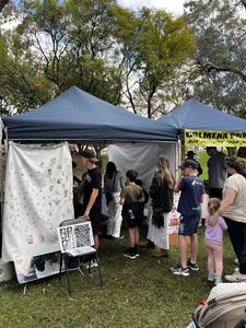 Nova Face/ Air Brush Paint