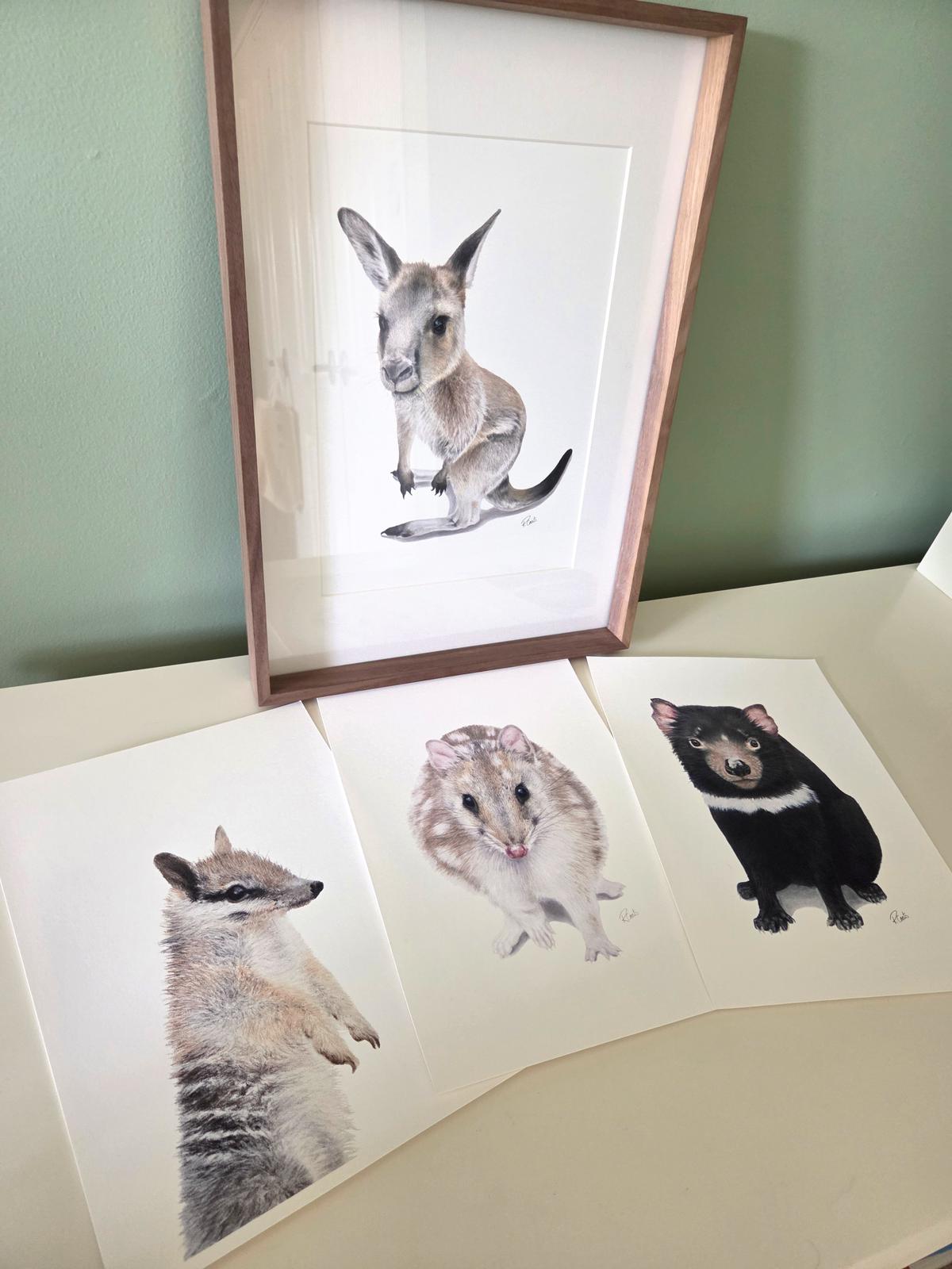 Native Wildlife Collection