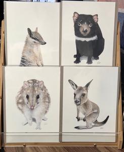 Numbat Hollow Creations