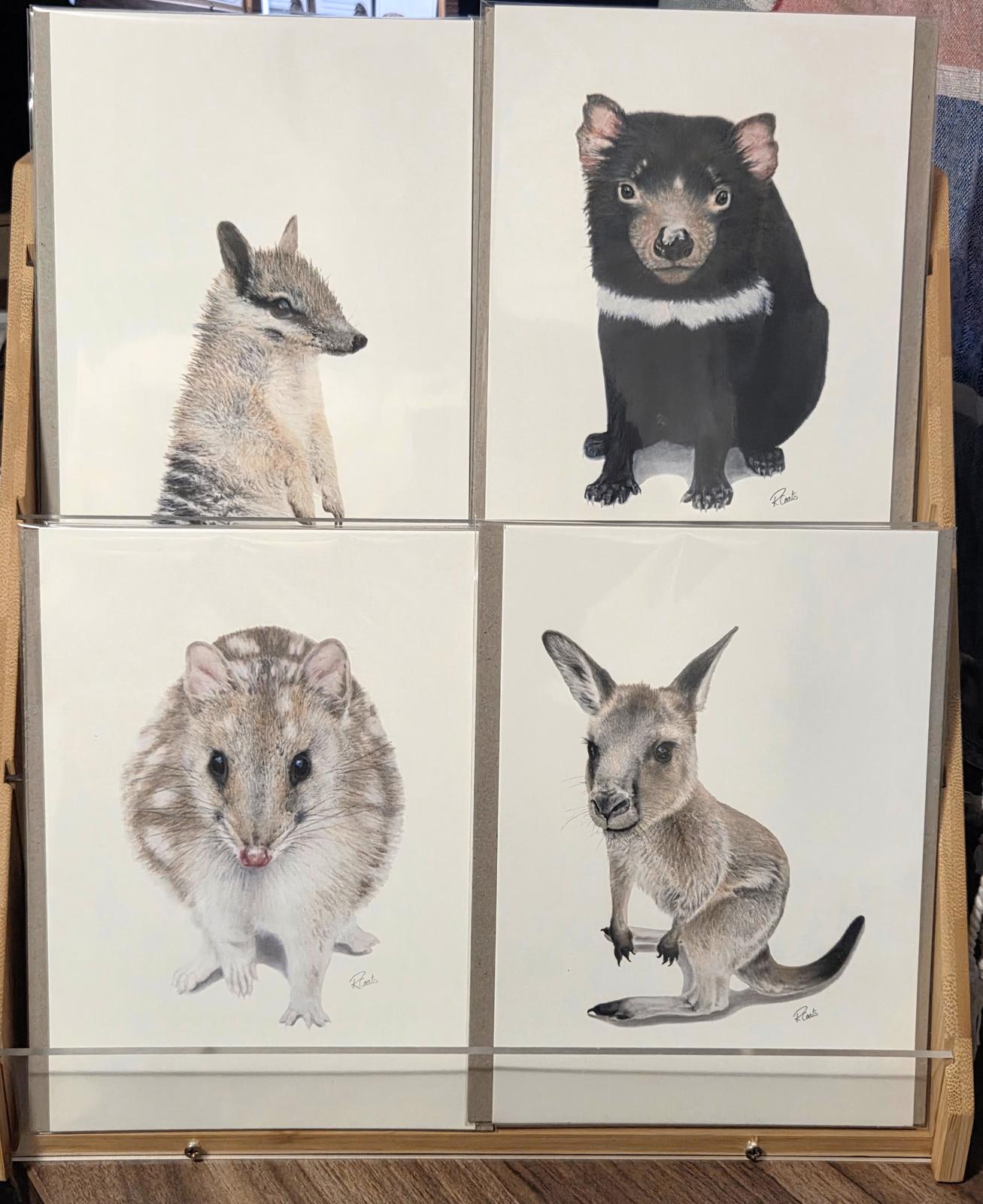 Native wildlife - display stand