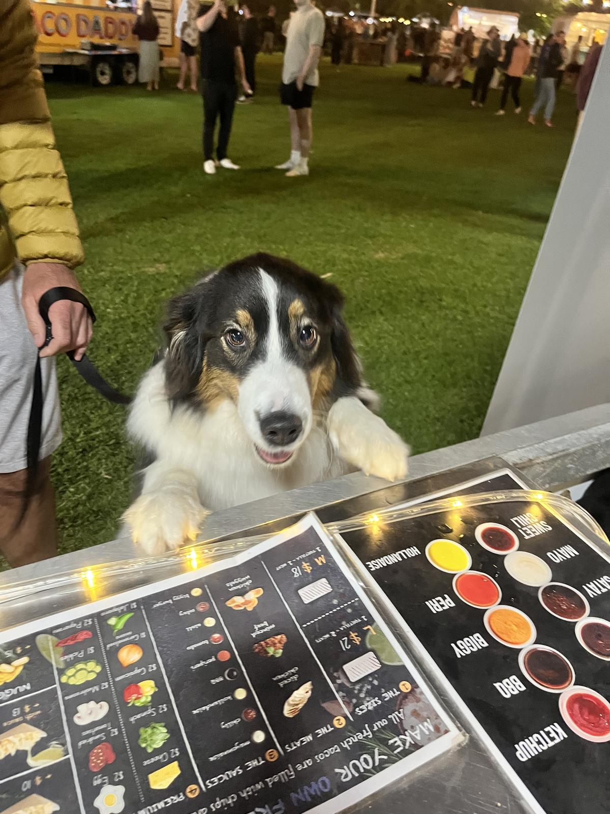 Our usual customer 
