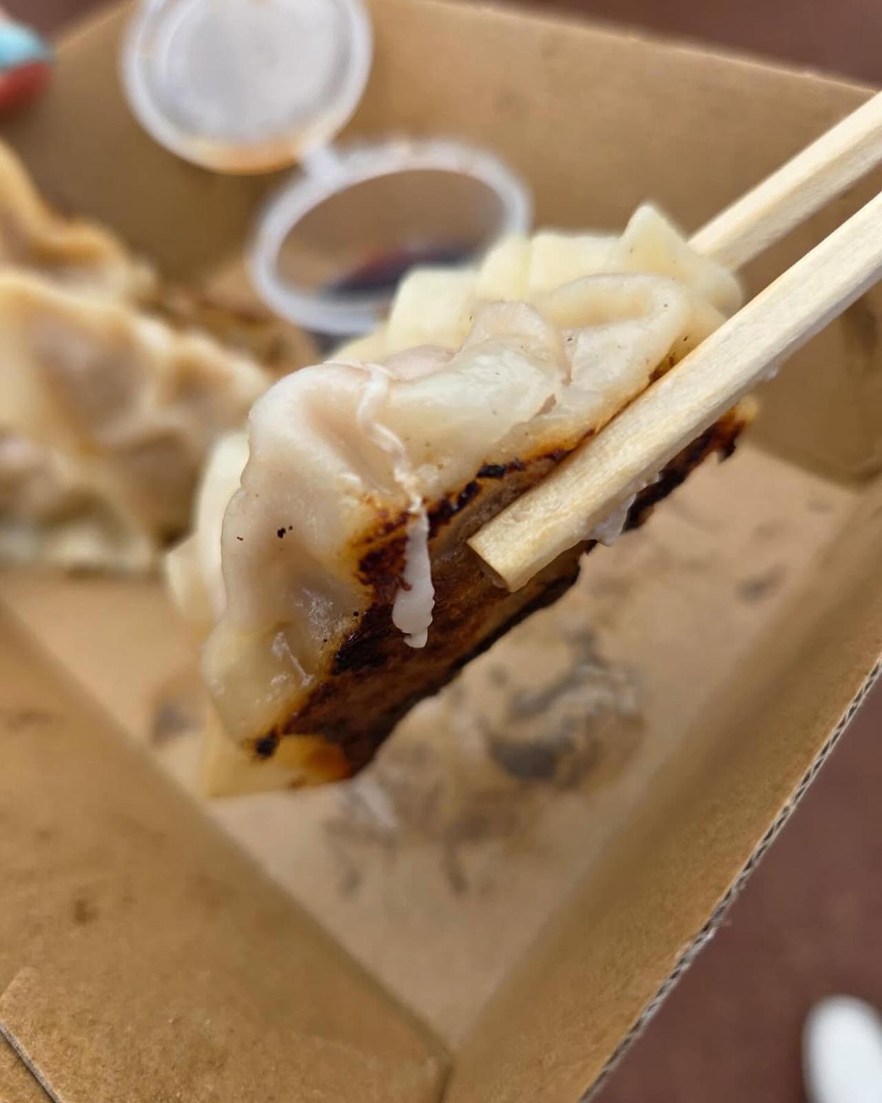 gyoza