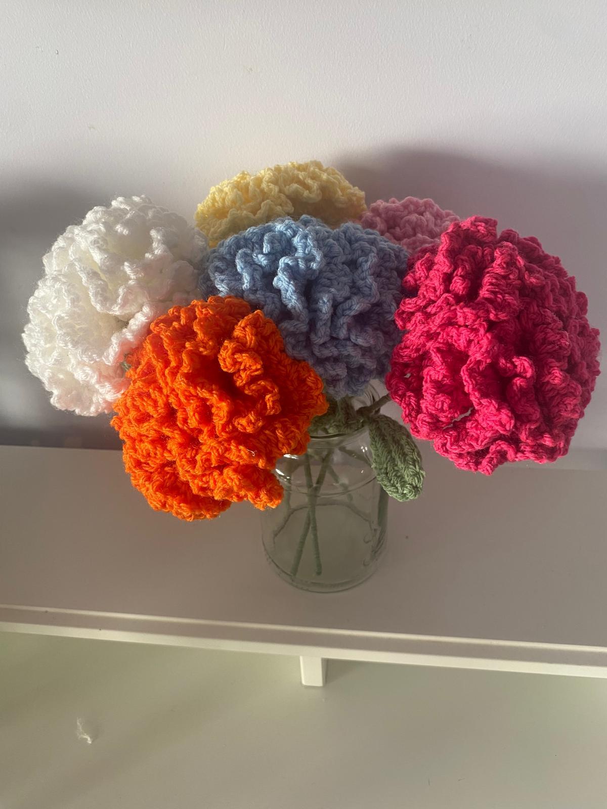 Petalz by Z Crochet Carnations
