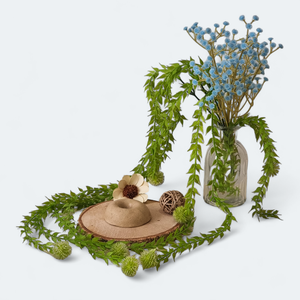 PippaNature