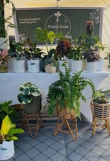 Prop & Grow Stall