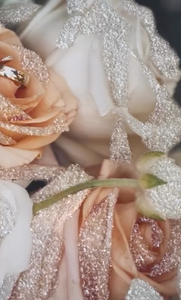 Radiance Design Studios