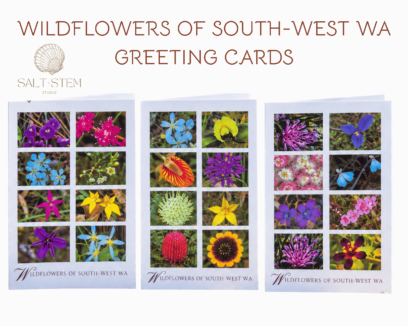 WA wildflower greeting cards