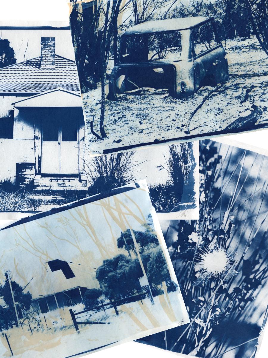 Cyanotype Artworks