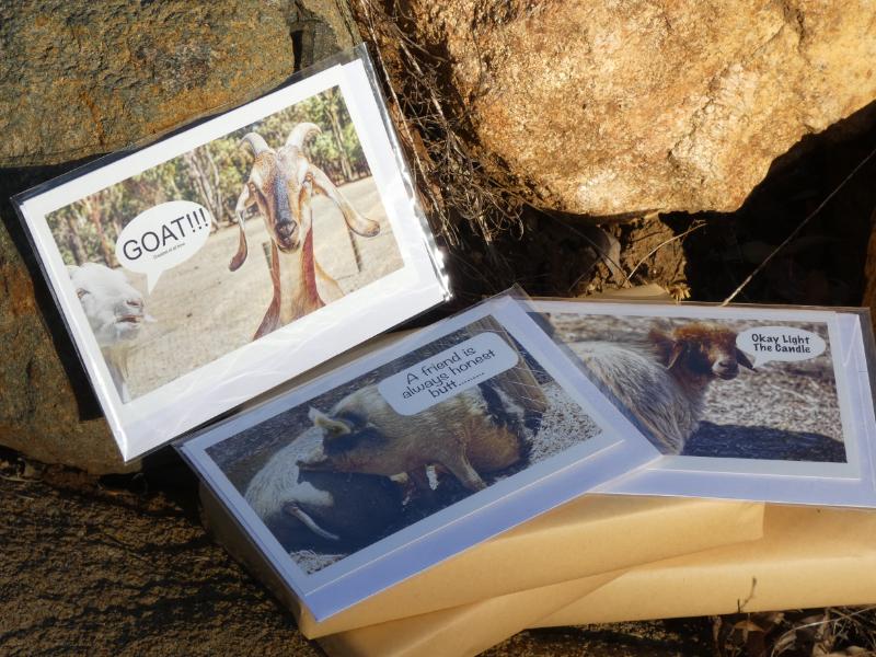 Humorous Greeting Cards