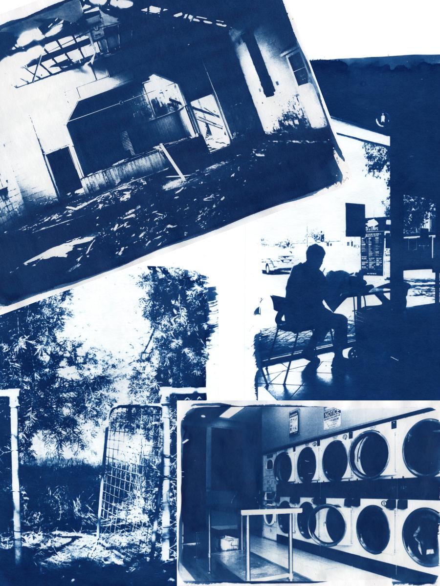 Cyanotype Artworks