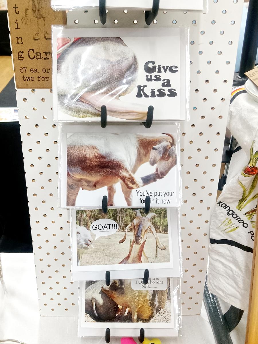 Funny Greeting Cards