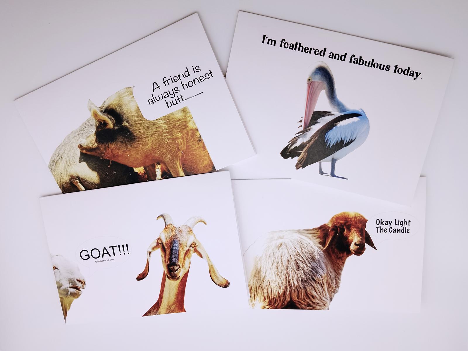 Funny Greeting Cards (Original Photography)