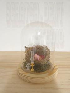 Scratch n Dent Studio