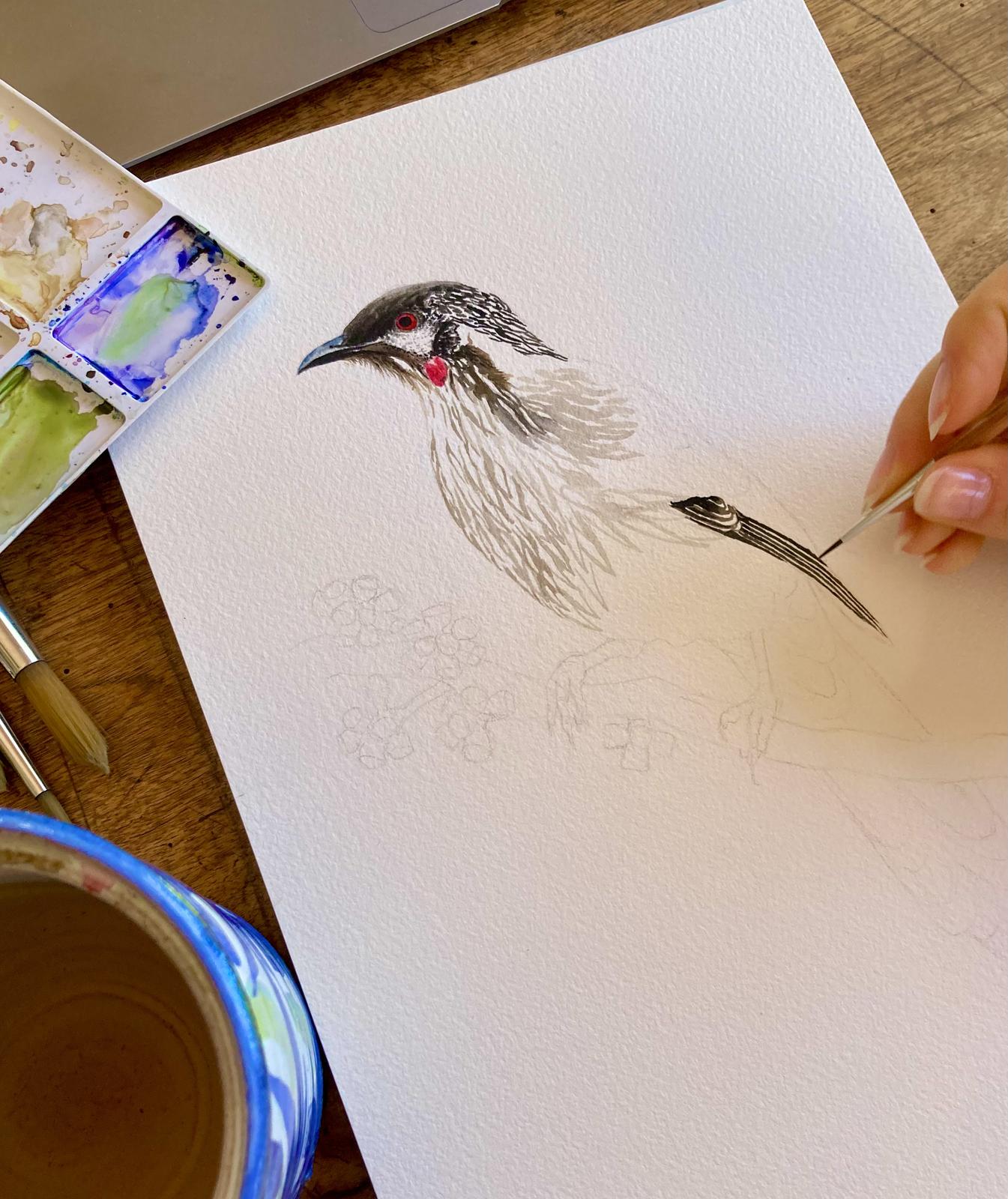 Wattlebird