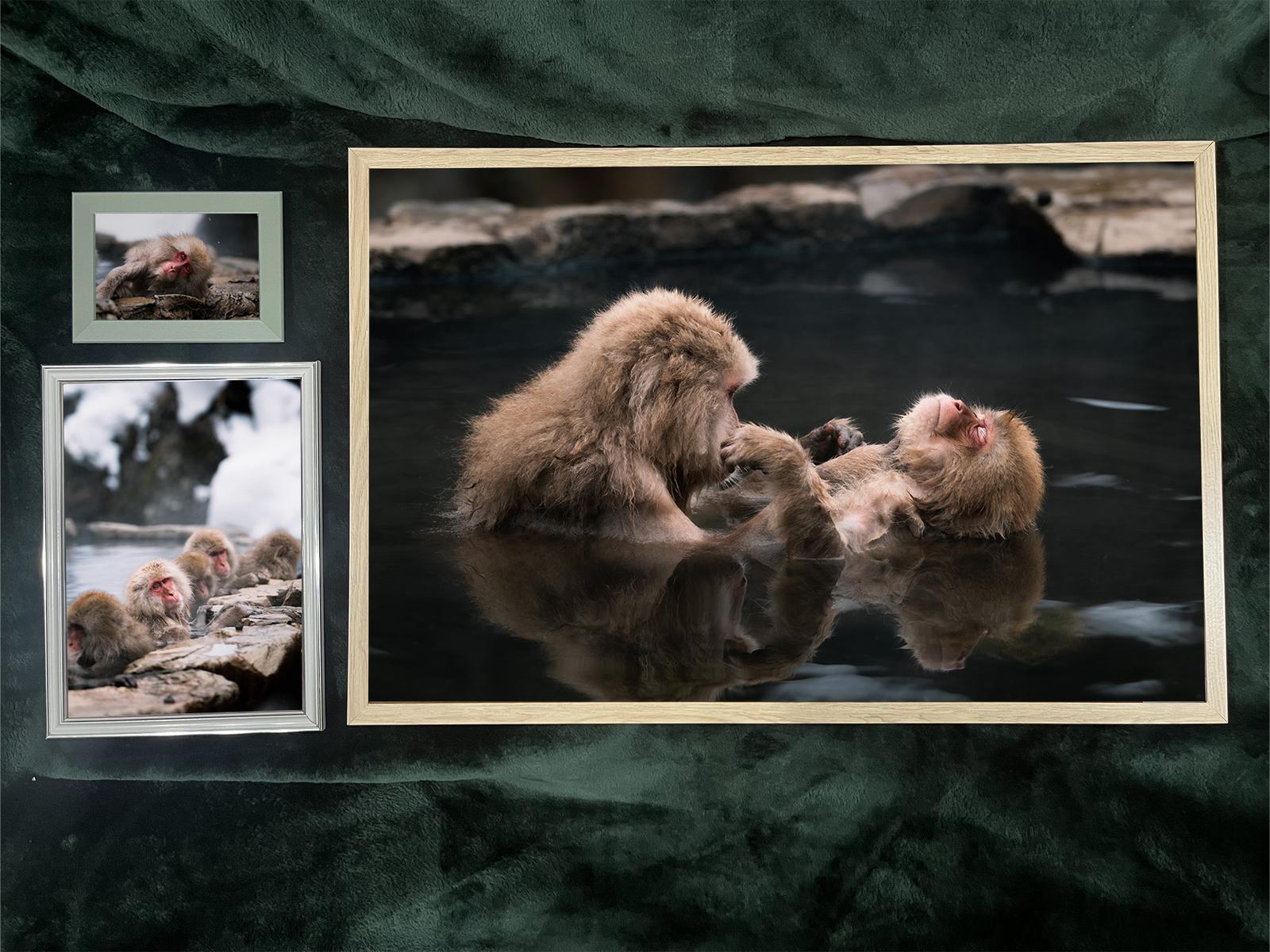 Framed Prints