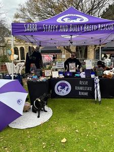 Staffy and Bully Breed Rescue Inc.