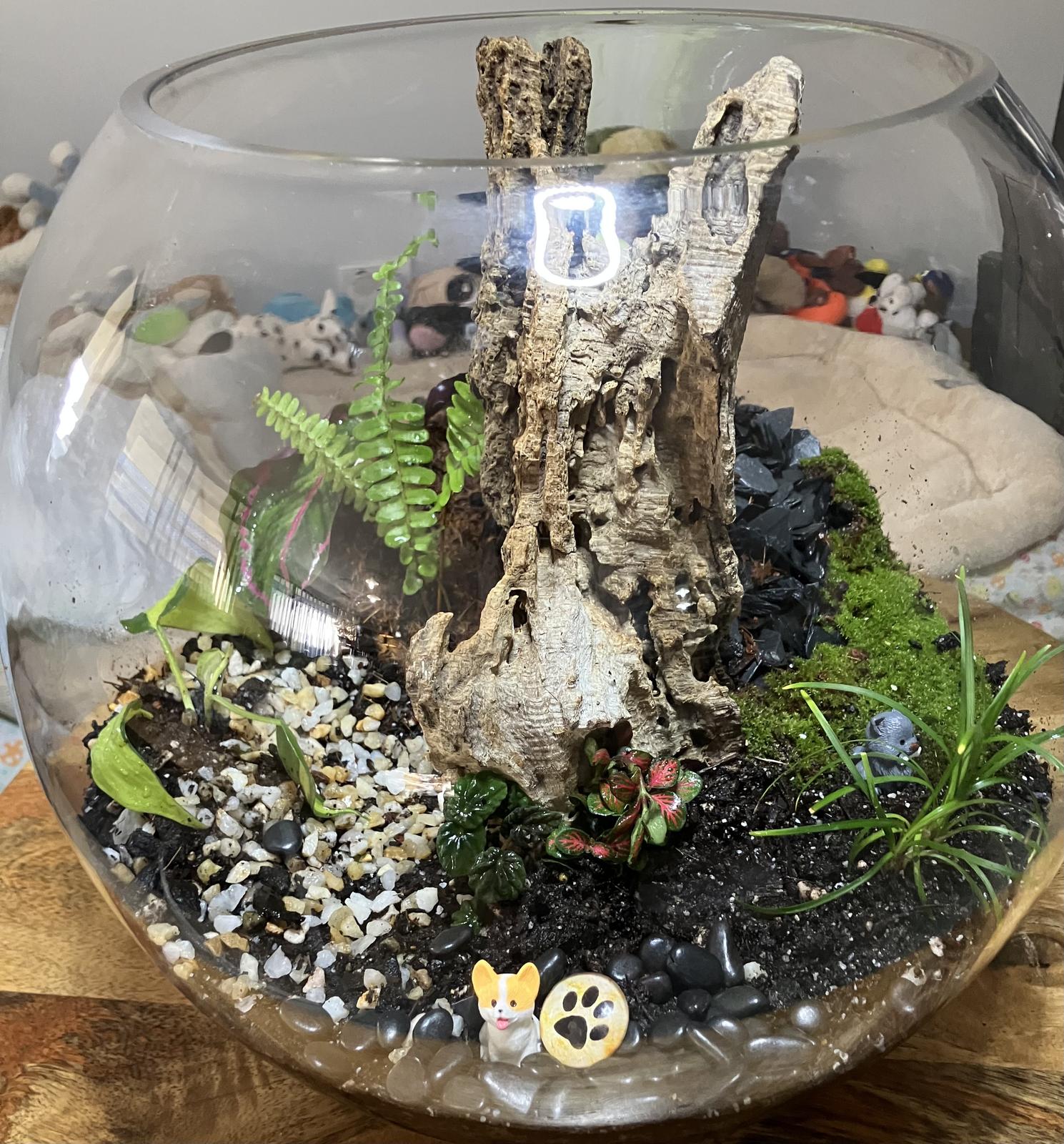 Vollie-made Fish Bowl Terrarium