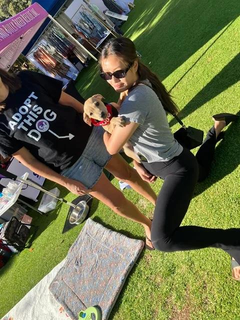 Puppy Cuddles @ the Upmarket 