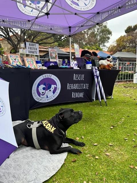 Upmarket Stall and Kodak ❤️